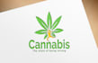 design a professional and beautiful logo