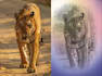 make a hyper realistic pencil sketch from your picture