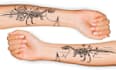 hand drawn  professional tattoo design