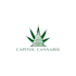 make a unique cannabis logo with all file