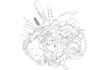 do a line art illustration