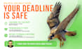 professional urgent graphic design