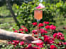 create professional cocktails that build your brand
