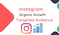 do superfast  instagram organic  growth