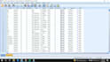 do professional questionnaire coding using ms excel and spss