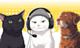 draw your cute pet,pet potrait cat dog and animal
