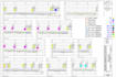 estimate complete site package
