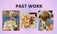 have my dog model your products