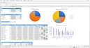 create excel spreadsheets, pivot tables, graphs and charts