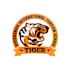 make a unique lion and tiger logo with fast delivery