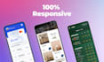 do your website development in clean HTML CSS javascript