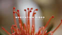 create copyright free HD relaxing meditation videos