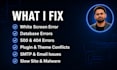 fix wordpress errors, bugs and SMTP email issues