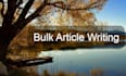 write monthly bulk articles and blog posts