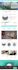 build branded profitable shopify website or shopify dropshipping store