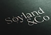 design your elegant logo