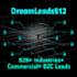 do USA database lead generation b2b b2c industrial
