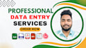 do data entry, copy paste, data scraping, email leads, pdf to excel data entry