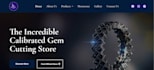 design stunning business wordpress website with mobile friendly