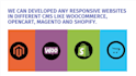 develope a fully speed and SEO optimized responsive website
