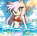 draw your custom sonic fan character or oc in sonic style