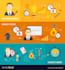 provide a professional digital marketing and strategy plan