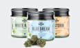 create cbd label, jar label, and cannabis box