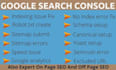 fix indexing issues, search console, XML sitemap, robots txt