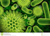 assist you in molecular biology,cell biology and genetics
