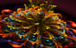 make you a Beautiful virtual electric FLOWER