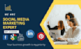 create and setup facebook business page and fb ads