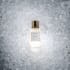 do 10 professional perfume photos