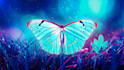 provide prophetic spiritual coaching services
