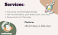 do a professional mailchimp, klaviyo email template newsletter design