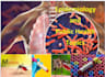 write quality epidemiology cases and public health and environmental issues