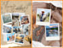 create awesome photo collages from your pictures