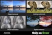 do professional photoshop retouch and background removal