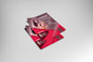 design an awesome  professional flyer or poster