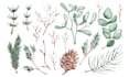 draw watercolor clipart, set of illustrations