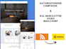 set up mailchimp RSS feed automation for your website
