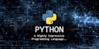 help you with any python project