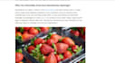 your professional SEO content writer for startups