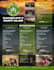 design a perfect promotional flyer for your brand