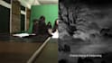 do rotoscoping, chromakeying, vfx compositing professionally
