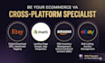 be your ecommerce VA for etsy, shopify, ebay, amazon products