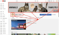 create, setup and optimize youtube channel with logo, banner