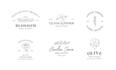 create minimalist  hand drawn botanical logo