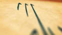 high quality calligraphy reveal animation