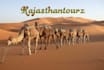 plan your trip to India tour