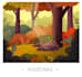 illustrate custom greeting cards, birthday cards, postcards